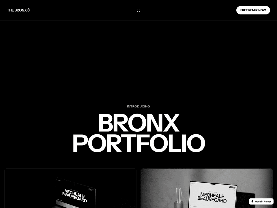 Bronx — vista 3