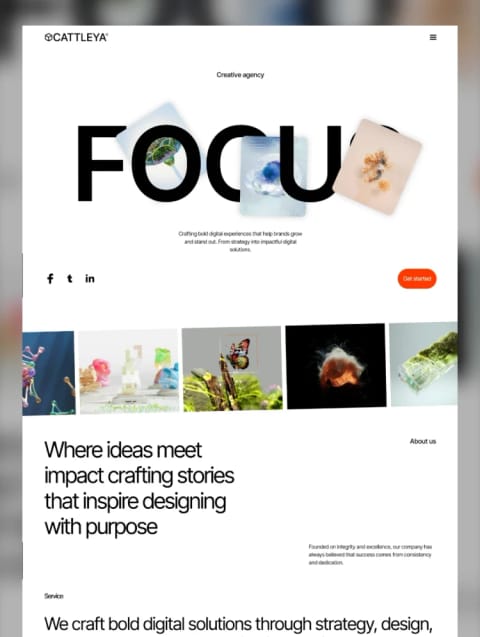 Cattleya — web Flow™