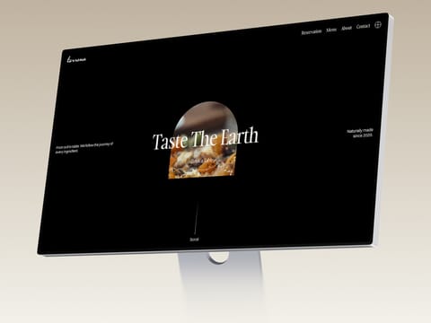 Terrona — web Flow™