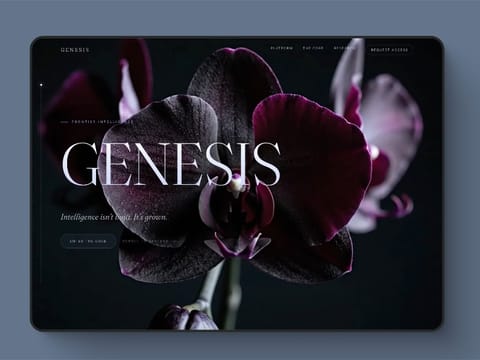 Genesis — web Flow™