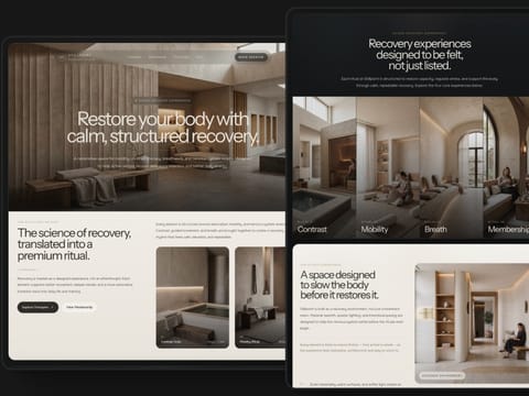 Recovery, web Flow™