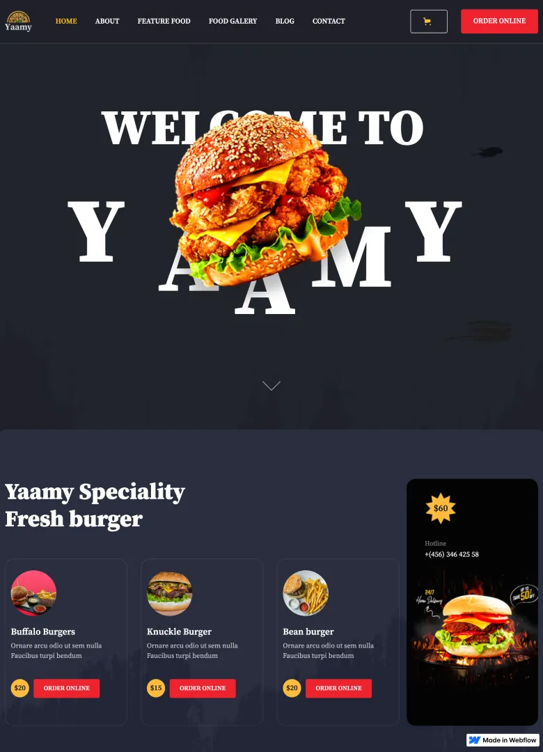 Portada de Yaamy