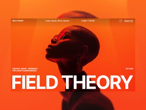 Field Theory — web Flow™