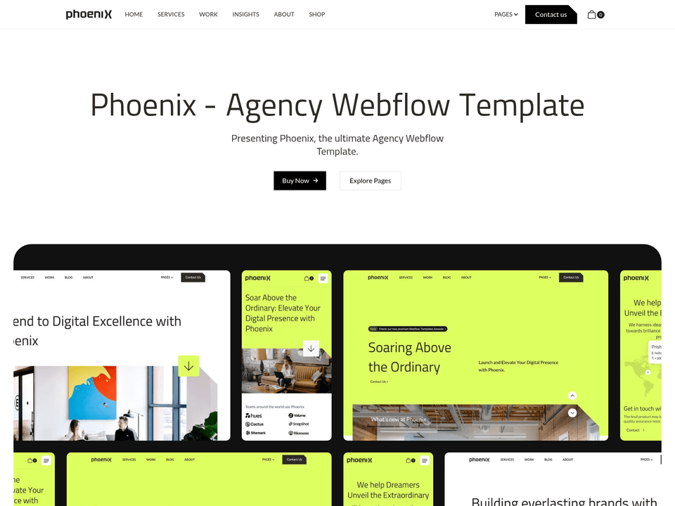Phoenix — vista 6
