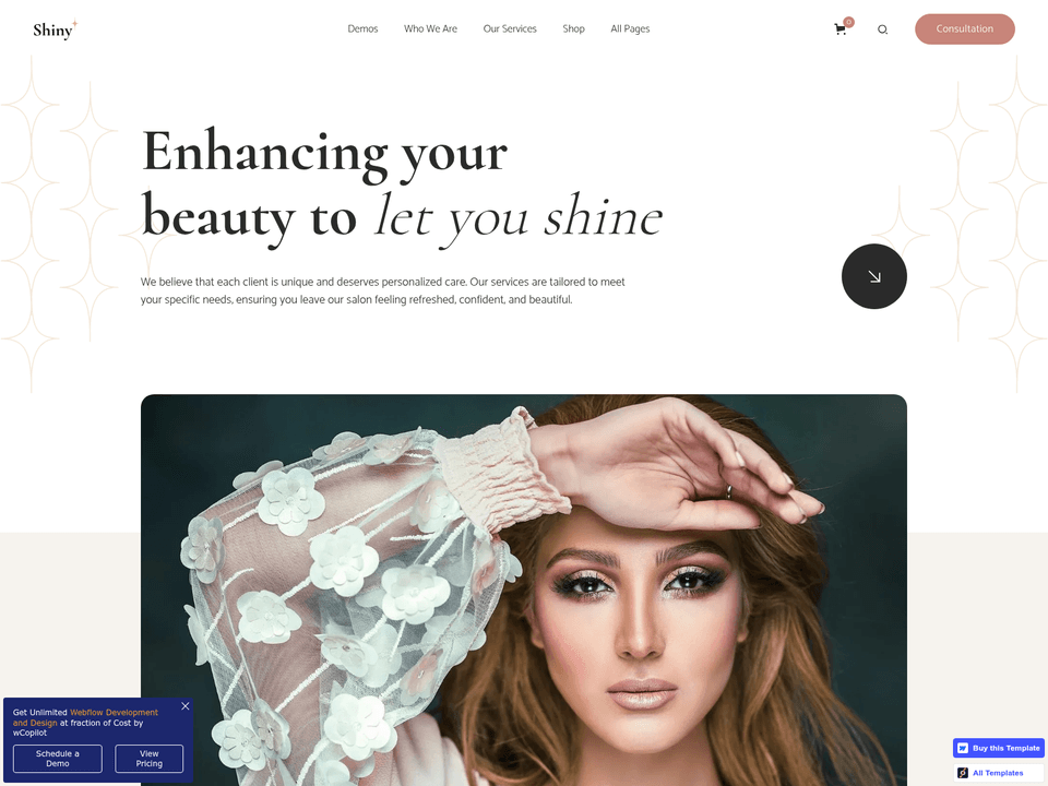 Shiny — vista 3